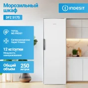 Морозильная камера Indesit DFZ 5175