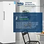 Морозильная камера Beko FNKW290T21W
